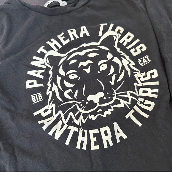 H&M set of Tiger long sleeve shirts, size 6-7X - Picture 3 of 5